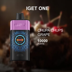 iget bar pro grape ice 10000 puffs 1