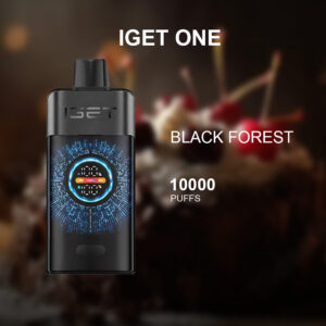 iget bar pro grape ice 10000 puffs 1