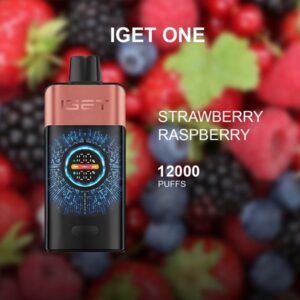 iget bar pro grape ice 10000 puffs 1
