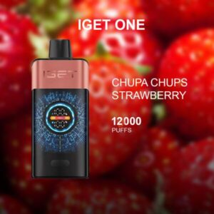 iget bar pro grape ice 10000 puffs 1