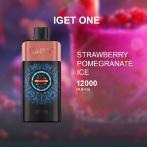 iget bar pro grape ice 10000 puffs 1