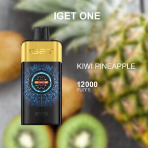 iget bar pro grape ice 10000 puffs 1