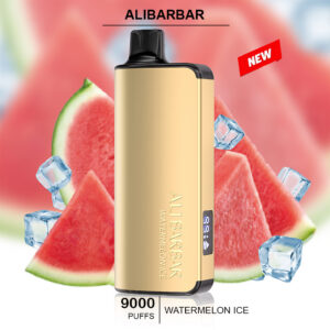 HOME watermelon ice