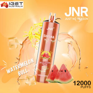 watermelon ice